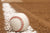 2025 Baseball Cards
