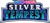 Pokemon: Silver Tempest