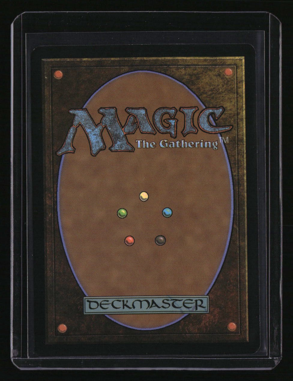 Modern Horizons 2 Misty Rainforest (Extended Art)