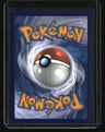 SWSH: Sword & Shield Promo Cards Arceus V