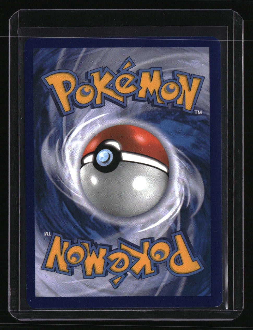 SWSH: Sword &amp; Shield Promo Cards Charizard V