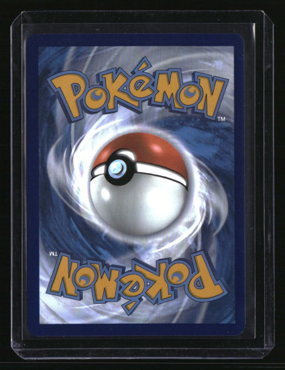 SWSH: Sword & Shield Promo Cards Lucario VSTAR