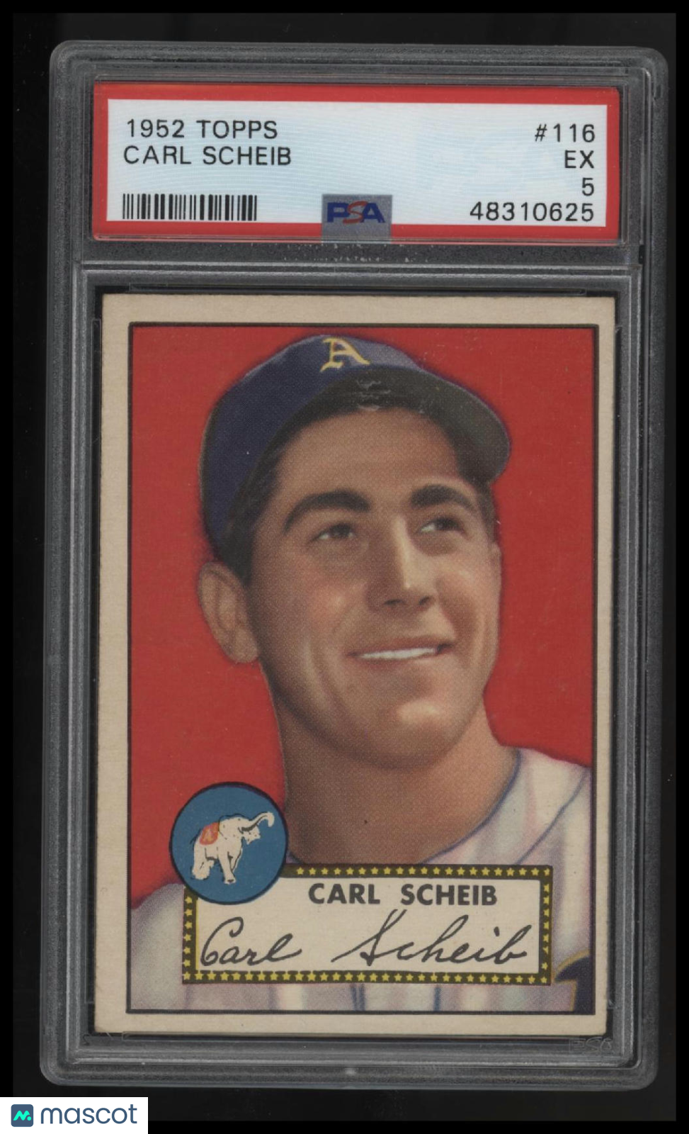 1952 Topps Carl Scheib PSA 5