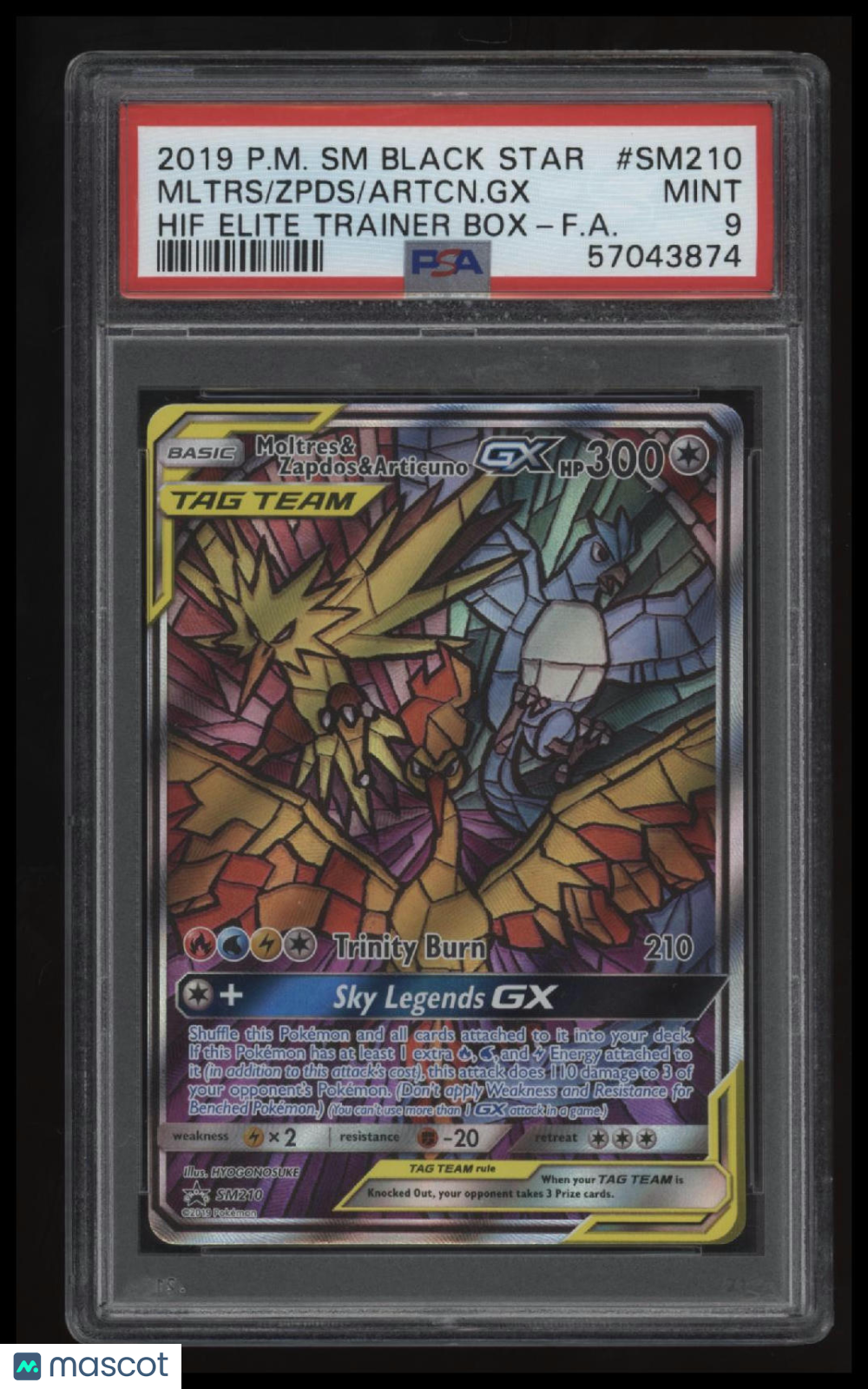 2019 Pokemon Black Star Promo Mltrs/Zpds/Artcn.Gx Elite Trainer Box-F.A. PSA 9