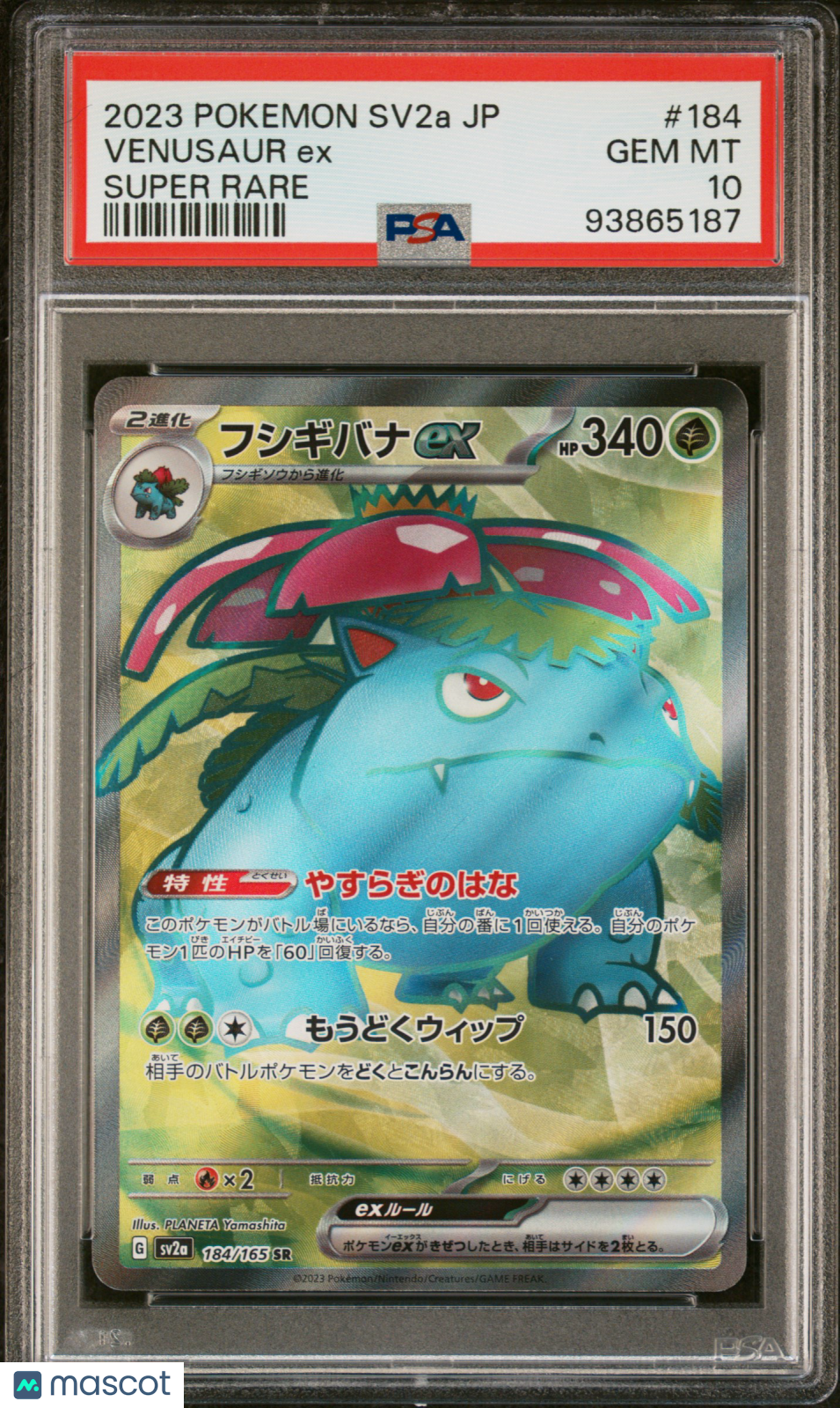 2023 Pokemon Japanese Sv2a-Pokemon 151 Venusaur Ex Super Rare PSA 10