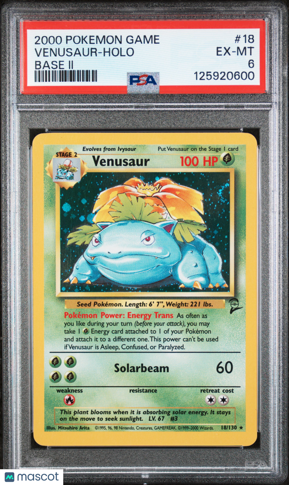 2000 Pokemon Game Base 2 Venusaur-Holo Base 2 PSA 6