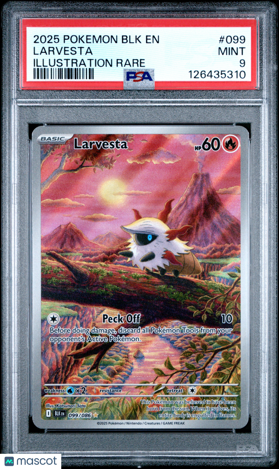 2025 Pokemon Blk En-Black Bolt Larvesta Illustration Rare PSA 9