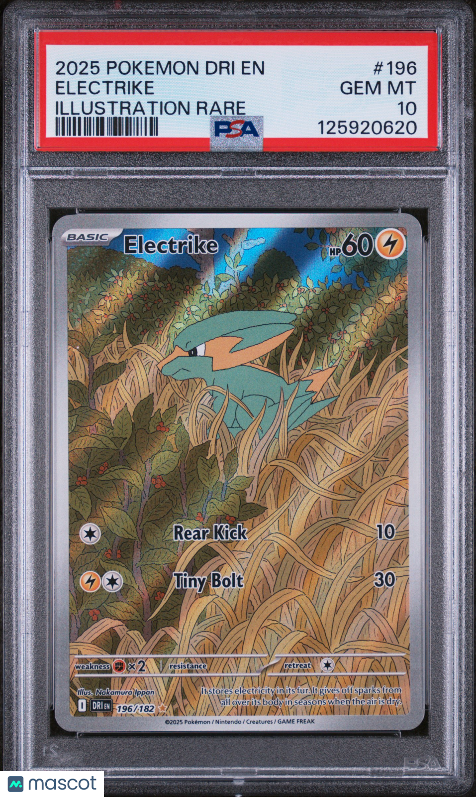 2025 Pokemon Dri En-Destined Rivals Electrike Illustration Rare PSA 10