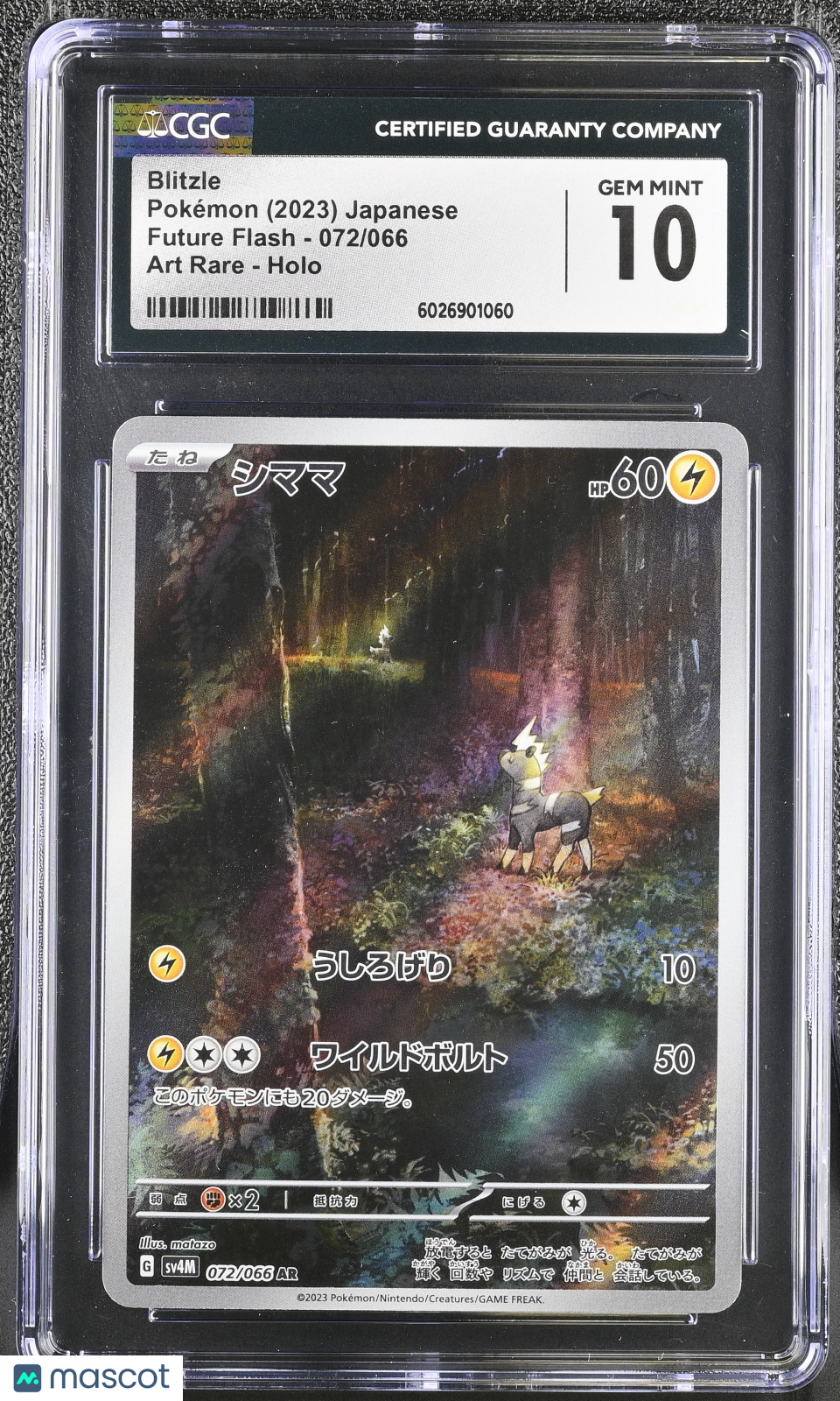 2023 Future Flash Blitzle CGC 10