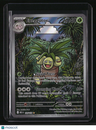MEG: Mega Evolution Exeggutor Illustration Rare 135/132