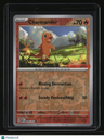 Miscellaneous Cards & Products Charmander