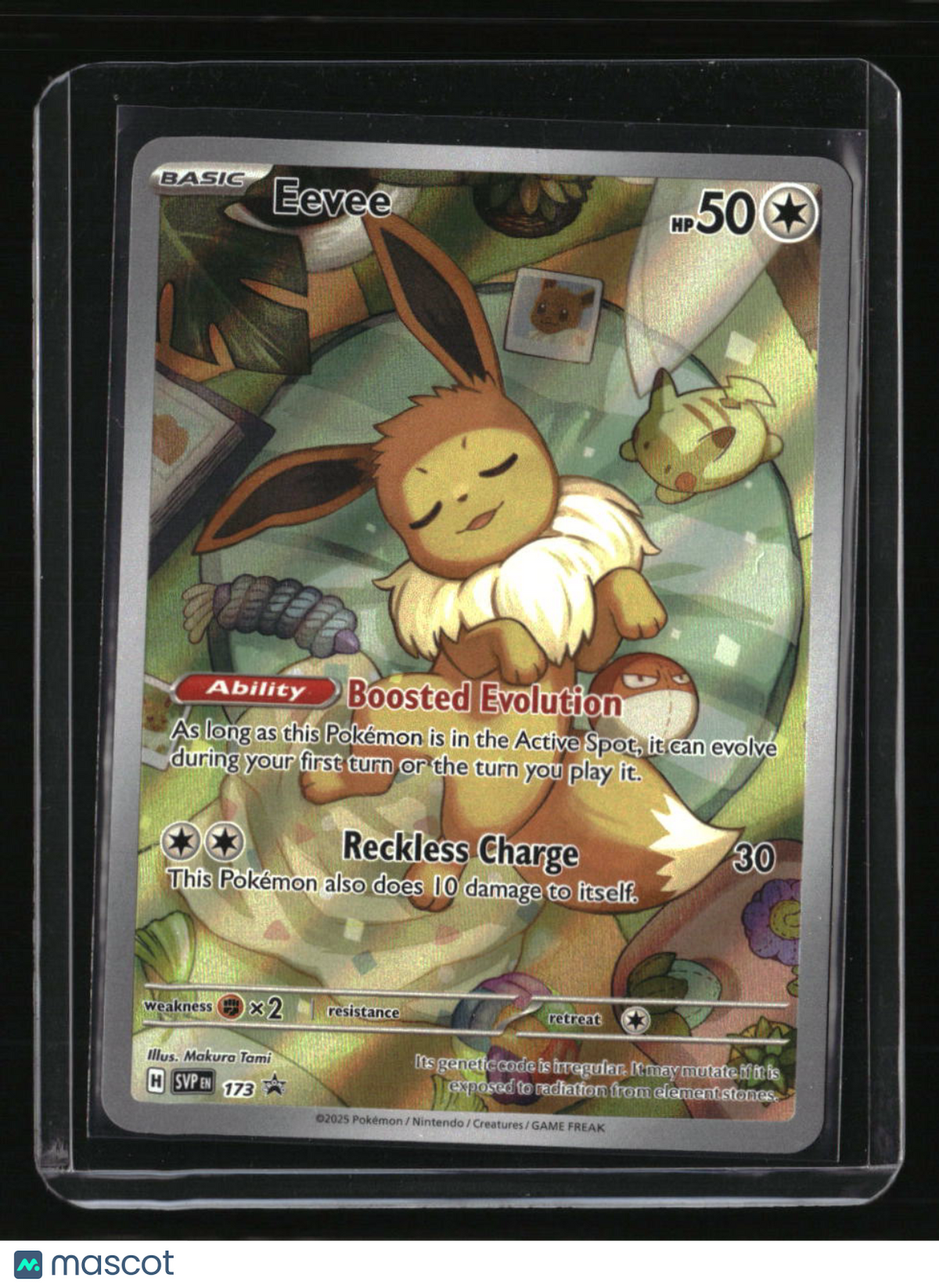 SV: Scarlet &amp; Violet Promo Cards Eevee