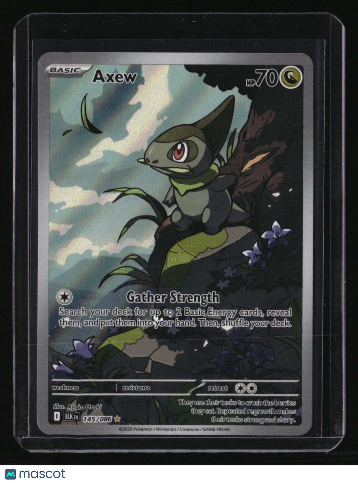SV: Black Bolt Axew