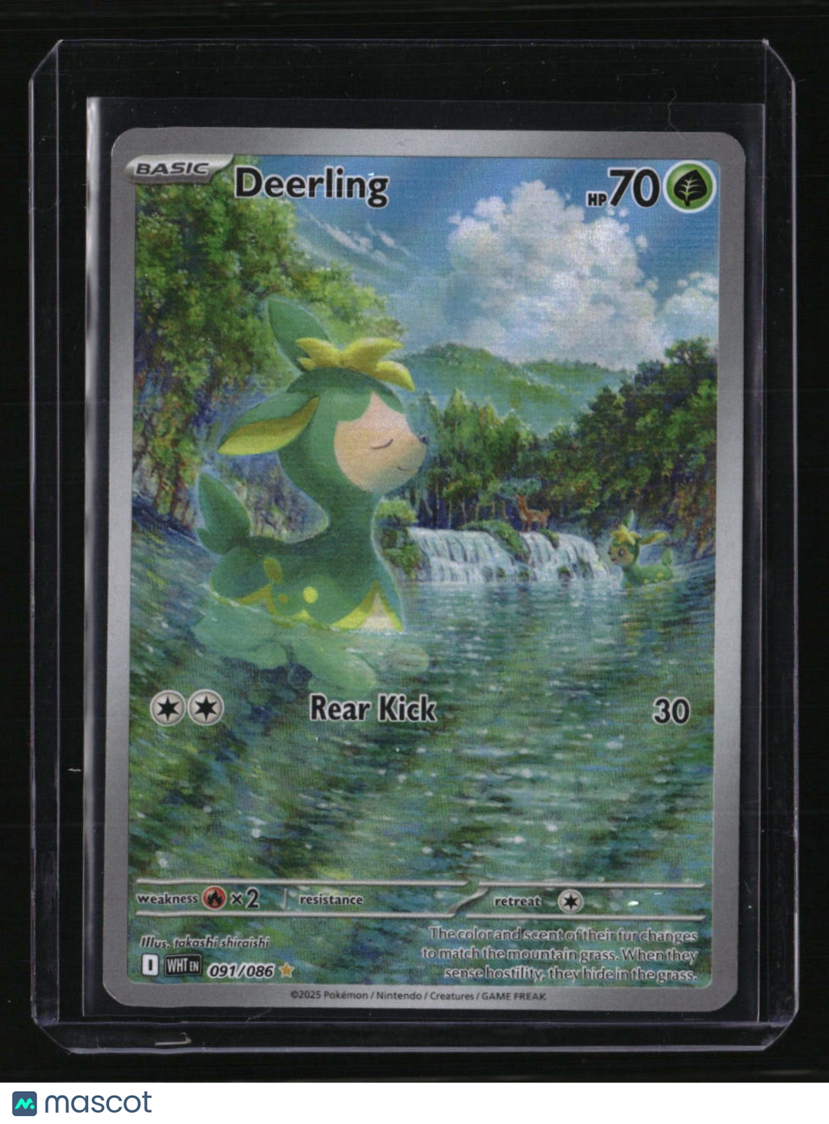 SV: White Flare Deerling