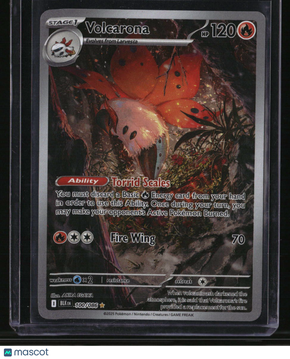 SV: Black Bolt Volcarona