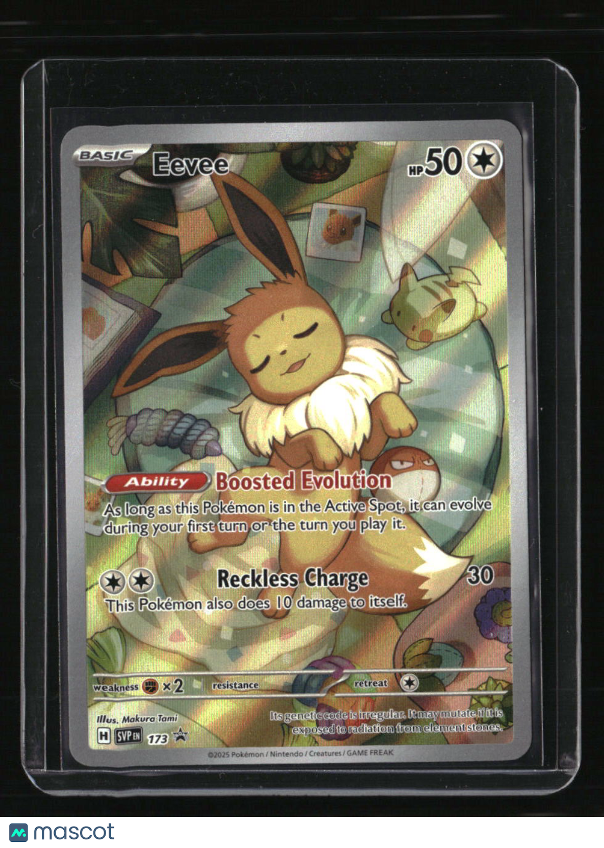 SV: Scarlet &amp; Violet Promo Cards Eevee