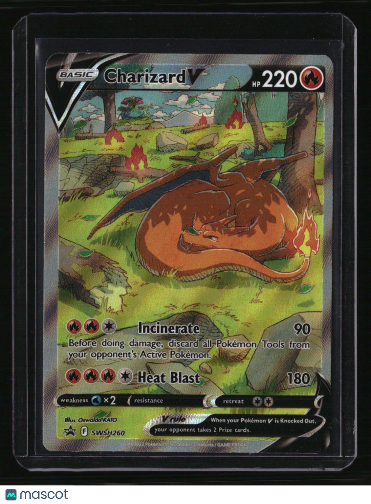 SWSH: Sword &amp; Shield Promo Cards Charizard V