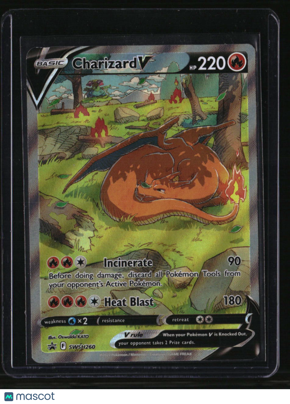 SWSH: Sword &amp; Shield Promo Cards Charizard V
