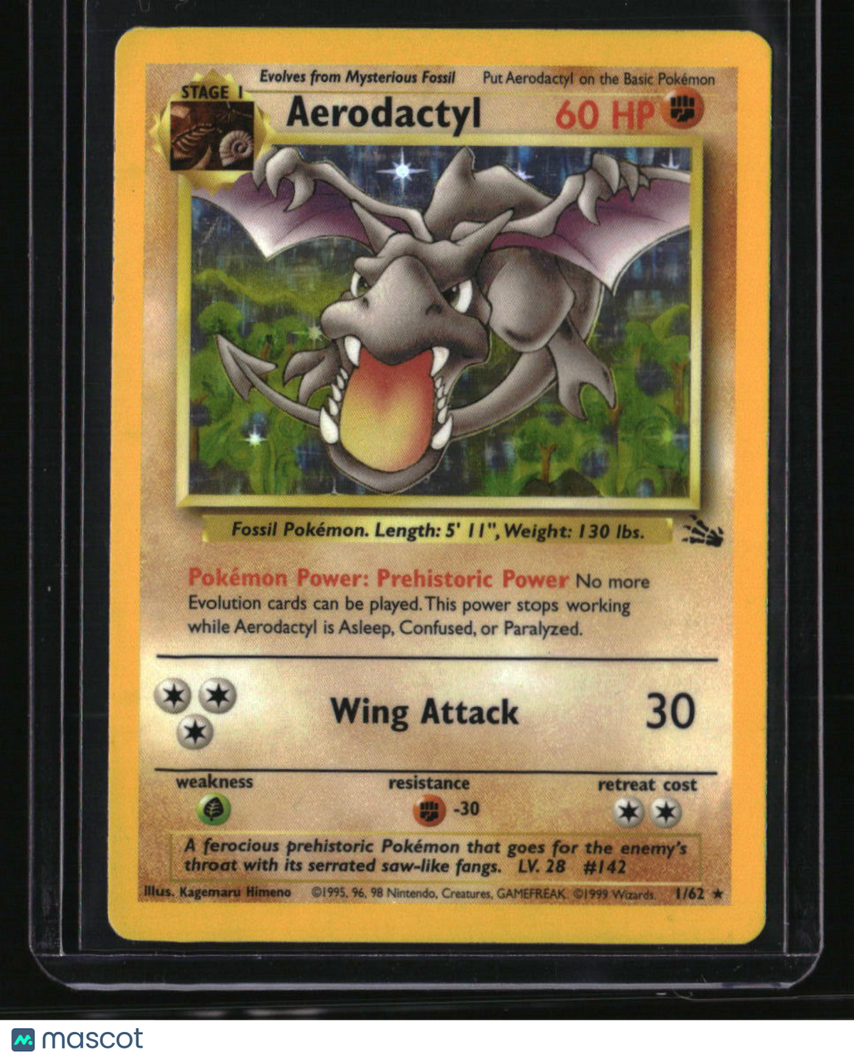 Fossil Aerodactyl (1)