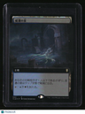 Commander Legends: Baldur's Gate Morphic Pool (Extended Art) Foil Japanese