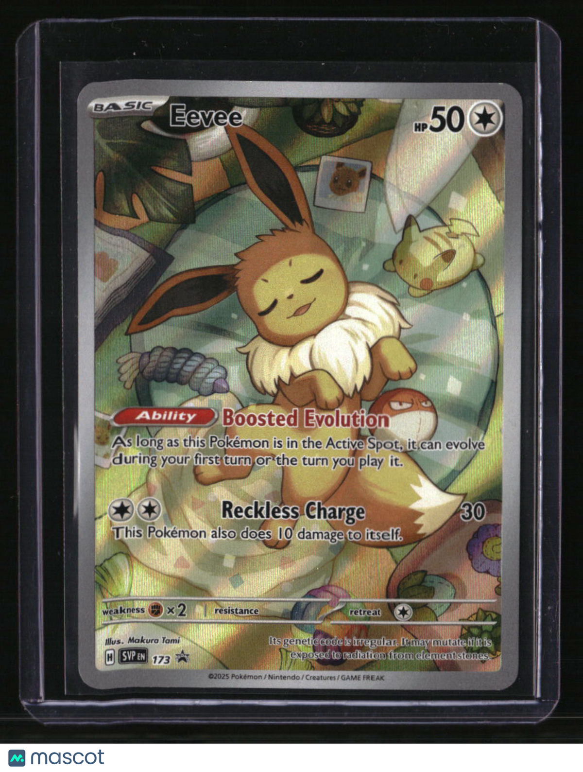 SV: Scarlet &amp; Violet Promo Cards Eevee