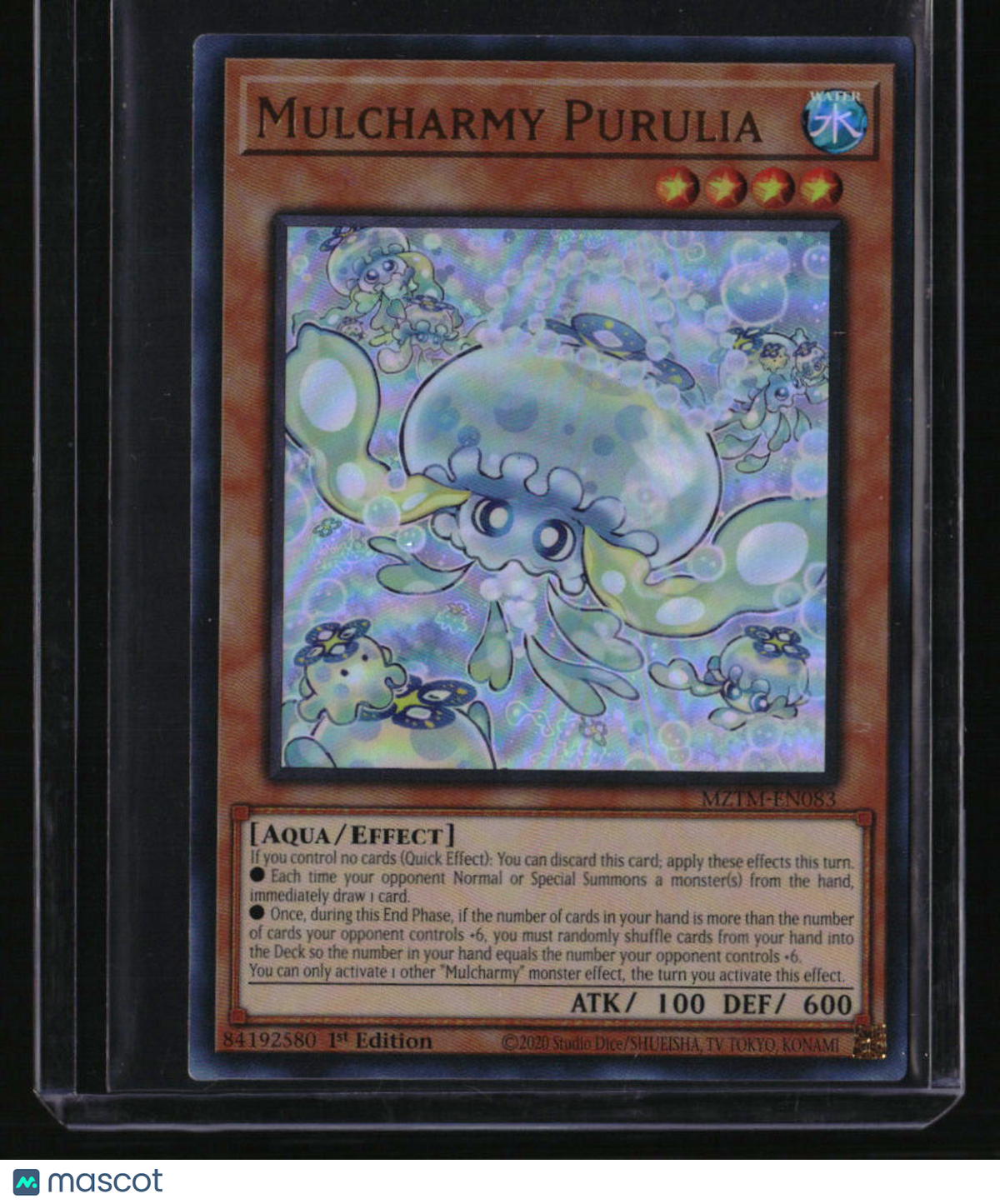 Maze of the Master Mulcharmy Purulia